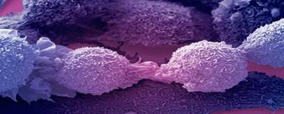 Genetic breakthrough hails new cancer research era 
