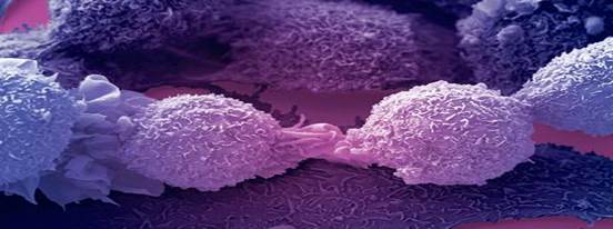 Genetic breakthrough hails new cancer research era 