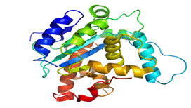 File:Spombe Pop2p protein structure rainbow.png