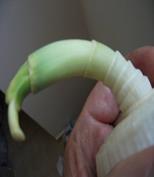 DSCF4262