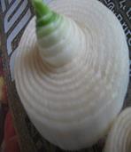 DSCF4225