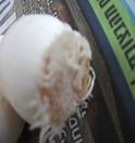 DSCF4227