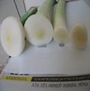 DSCF4220