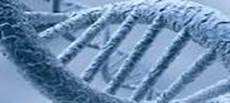 Related image