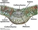Related image