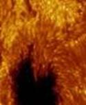 See full size image
