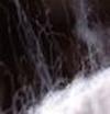 Go to fullsize image