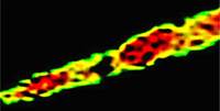M87 Jet
