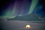 photo of Aurora Borealis Over Tent